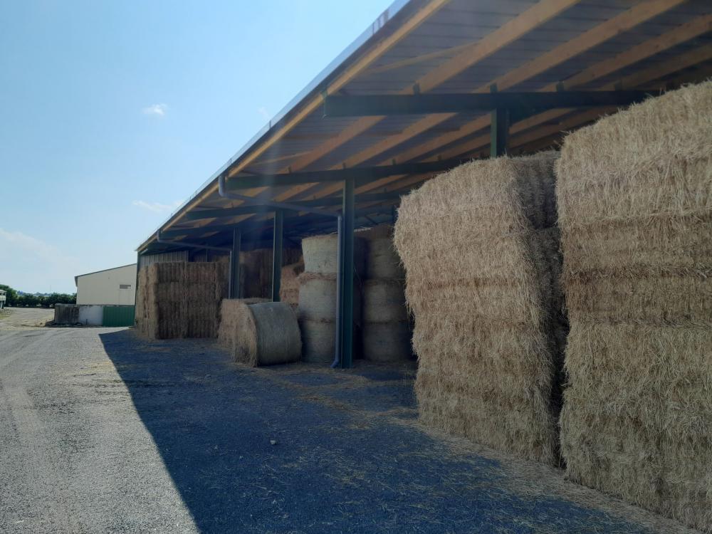 charpente-onillon_Stockage-photo-1277-m2-Assais-les-Jumeaux_2023-4