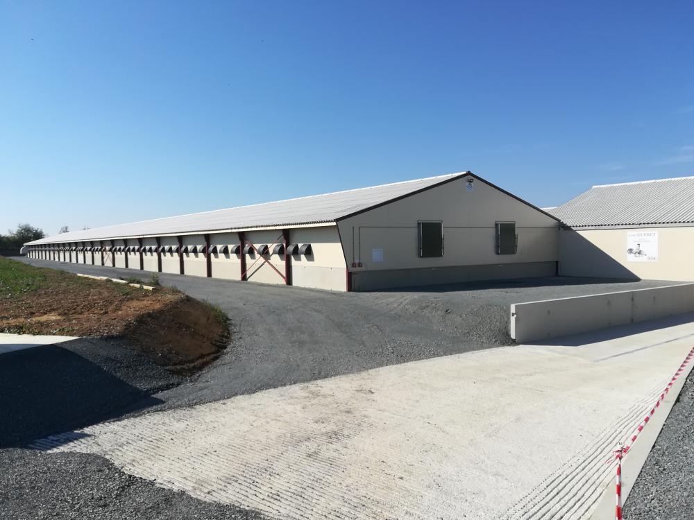 charpente-onillon_batiment-poules-pondeuses-norme-bebc-2018-Le-Voide-49-5