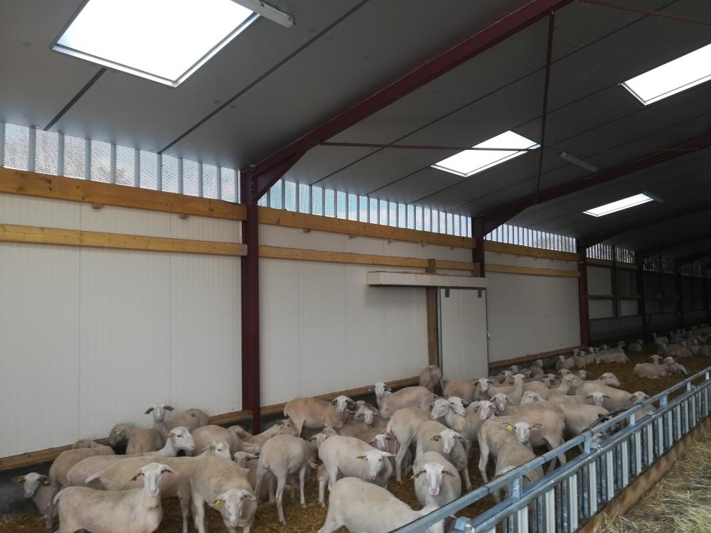 charpente-onillon_ext-bergerie-2020-Chiche-85-6